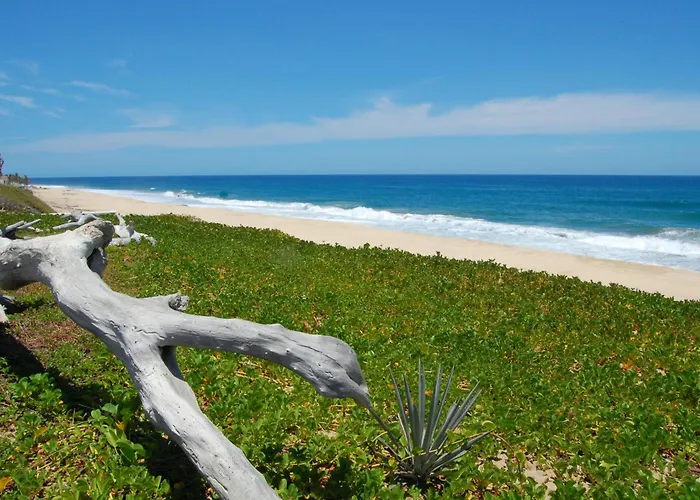 Estero By Cabo * San José del Cabo
